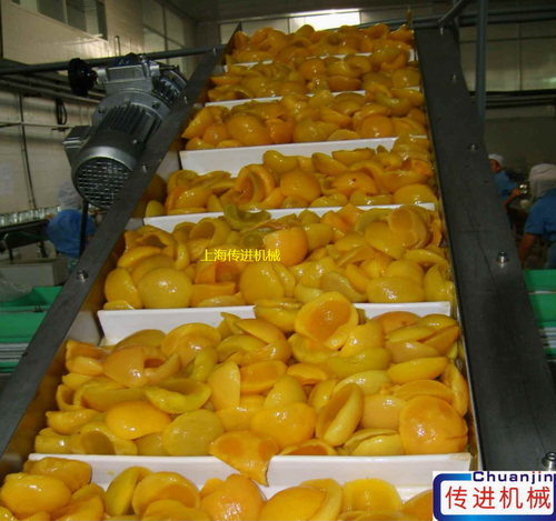 食品級皮帶輸送線 爬坡皮帶輸送機